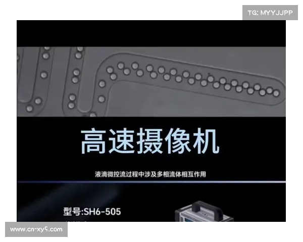 水下摄像机精准捕捉冠军触壁瞬间误差仅为0.01秒创纪录 水下摄像机精准捕捉冠军触壁瞬间误差仅为0.01秒创纪录
